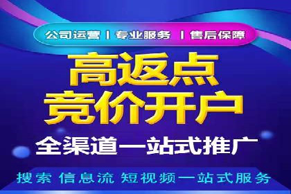 百度推广排名提升方案：某科技公司的成功经验